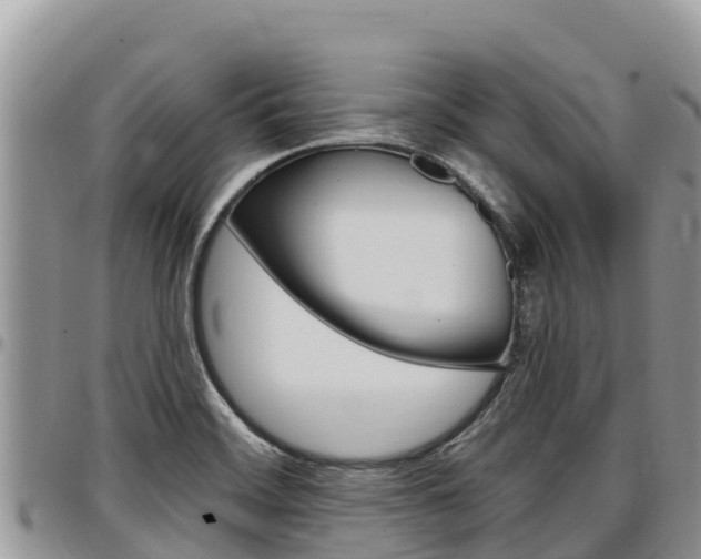X0000097291468200802151047