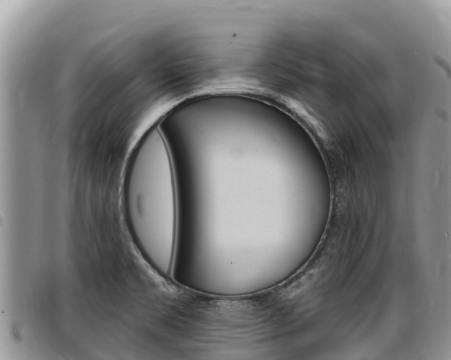 X0000097291469200802151047