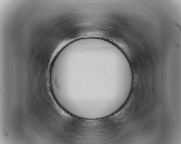 X0000097291470200802151047