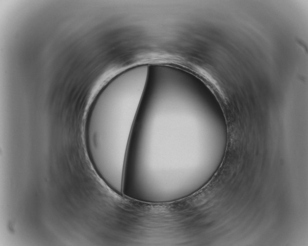 X0000097291472200802151047