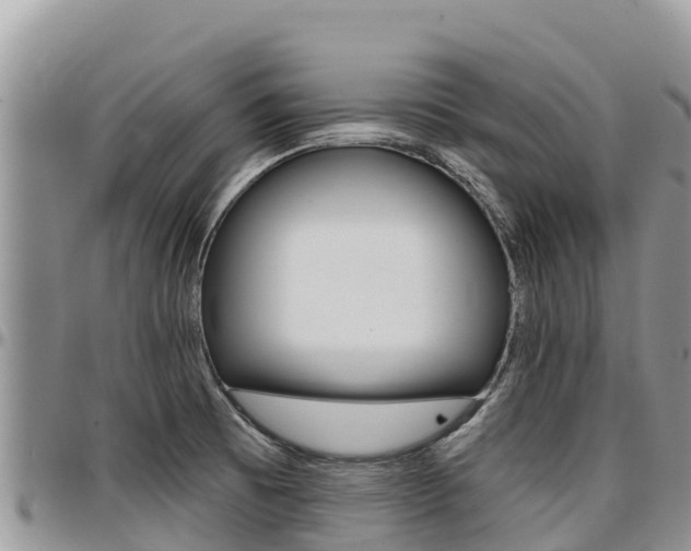 X0000097291473200802151047