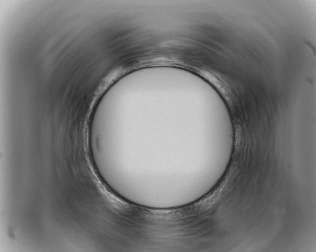 X0000097291474200802151047