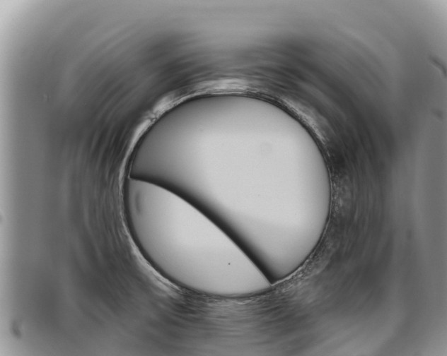 X0000097291475200802151047