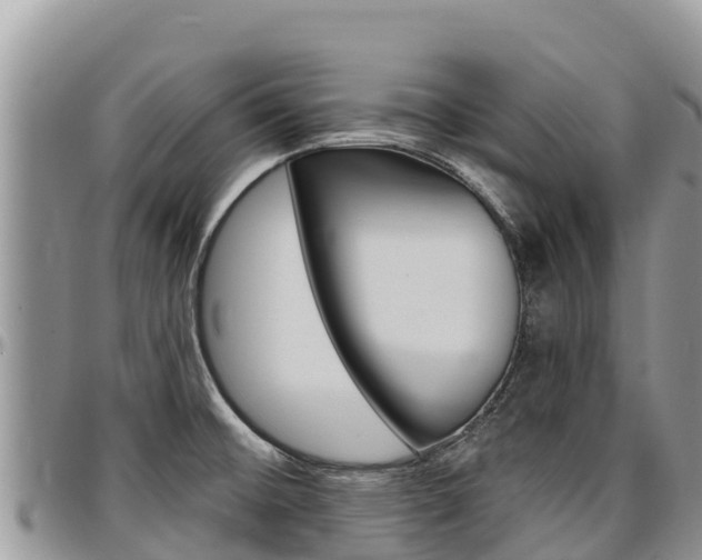 X0000097291476200802151047