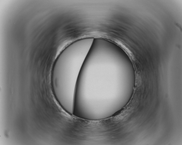 X0000097291477200802151047