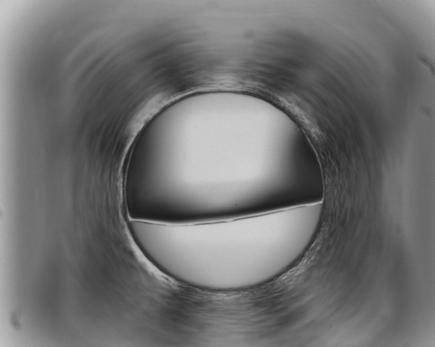 X0000097291479200802151047