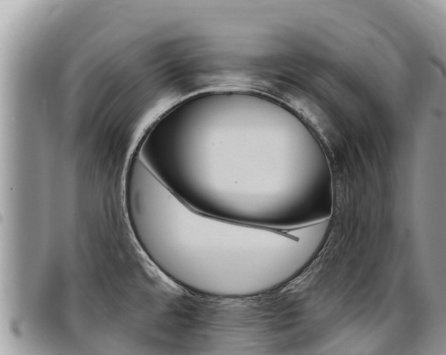 X0000097291480200802151047