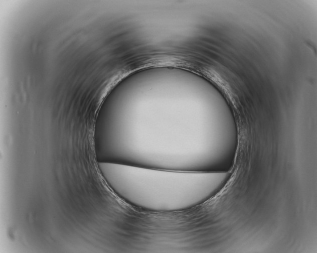 X0000097291481200802151047