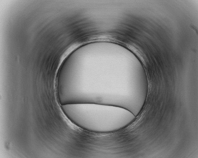 X0000097291482200802151047