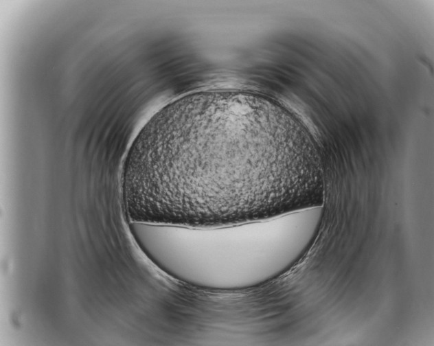 X0000097291483200802151047