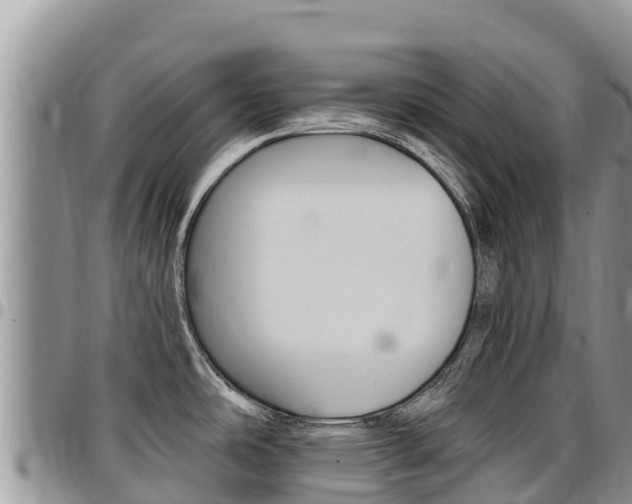 X0000097291486200802151047