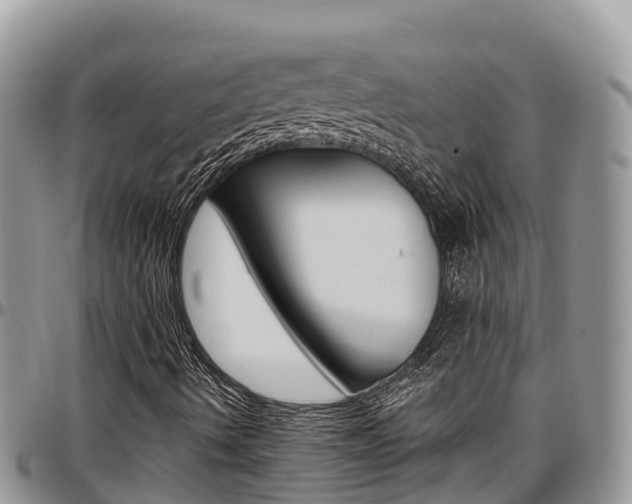 X0000097291490200802151046