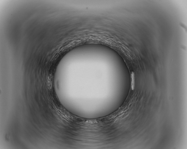 X0000097291491200802151046