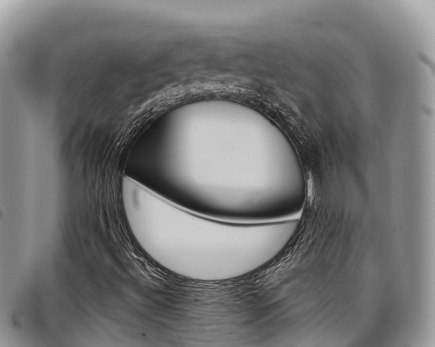 X0000097291492200802151046