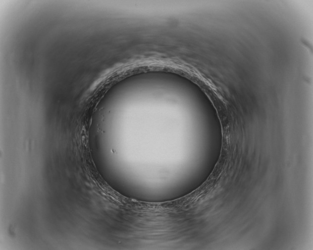 X0000097291495200802151046