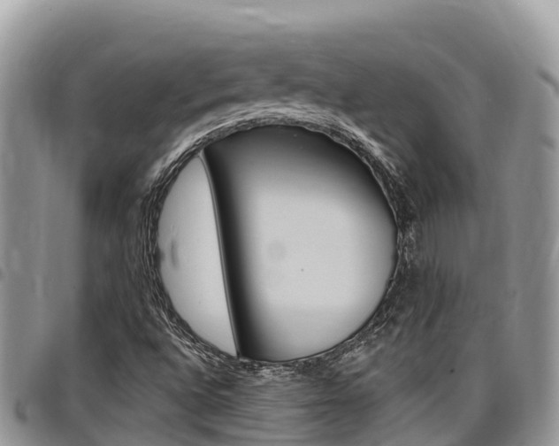 X0000097291496200802151046