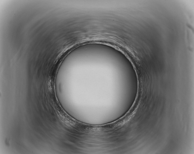 X0000097291497200802151046