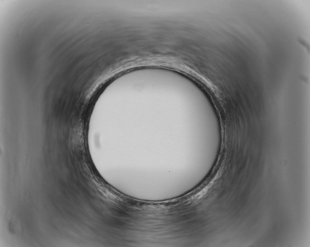 X0000097291498200802151046