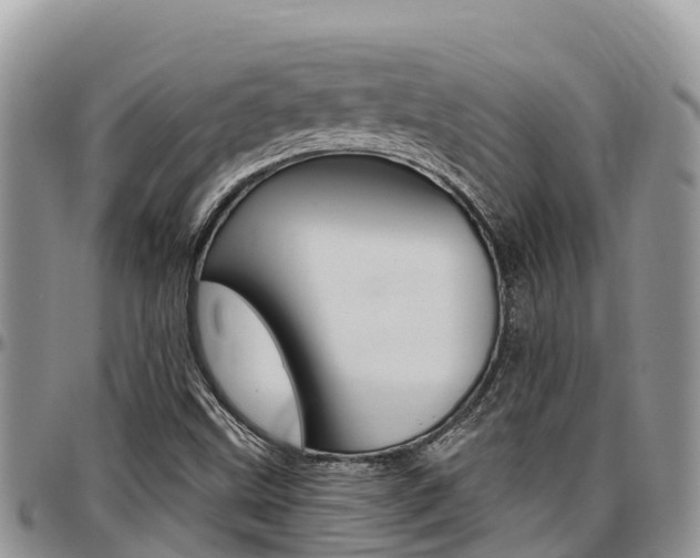 X0000097291499200802151046