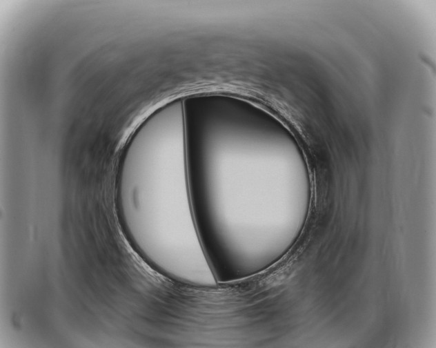 X0000097291500200802151046