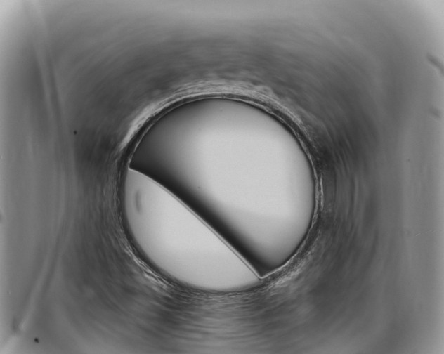 X0000097291501200802151046