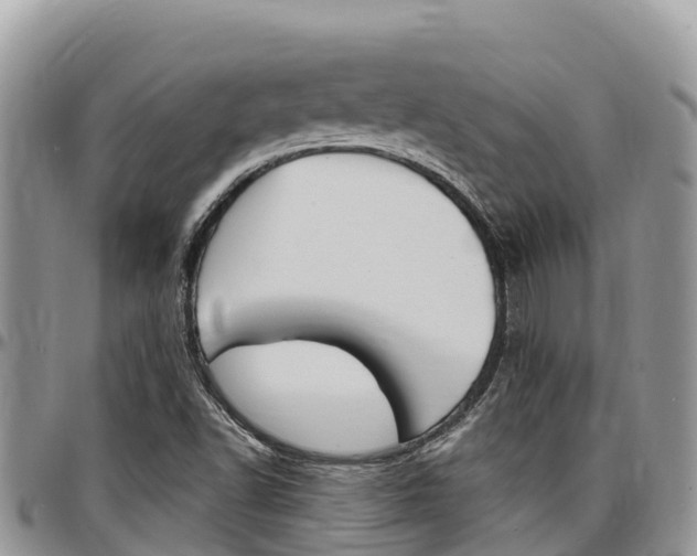 X0000097291502200802151046