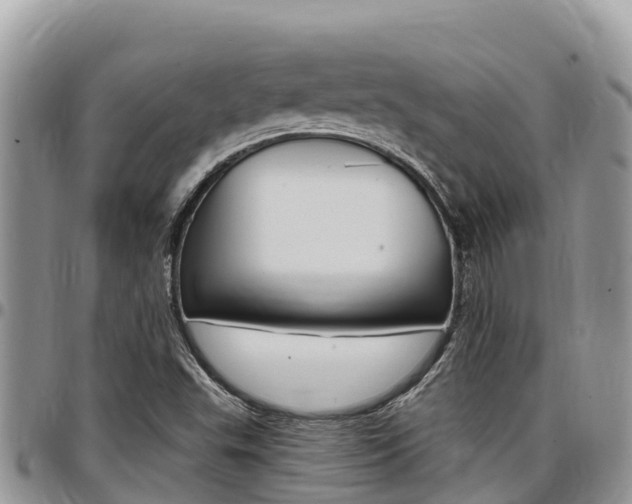 X0000097291503200802151046