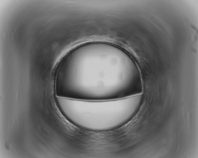 X0000097291504200802151046