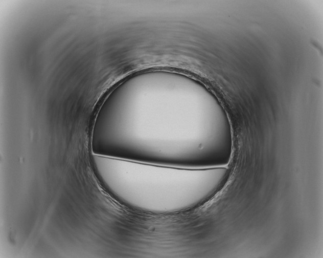 X0000097291505200802151046