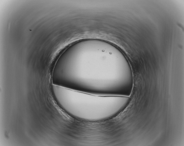 X0000097291507200802151046