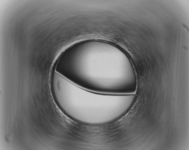 X0000097291508200802151046