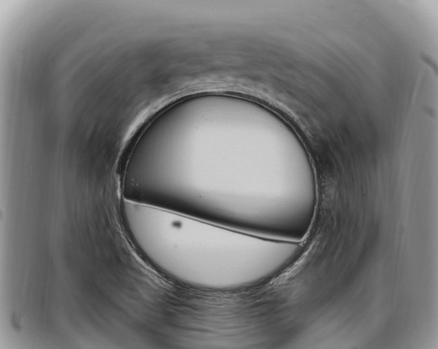 X0000097291509200802151046