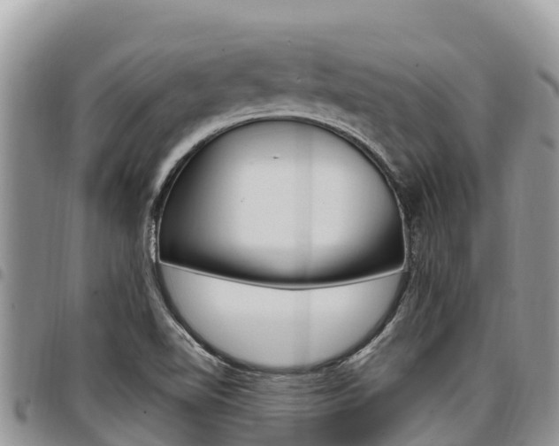 X0000097291510200802151046