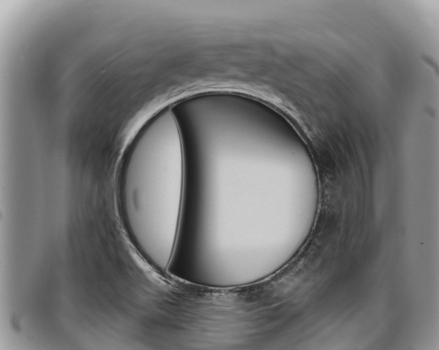 X0000097291511200802151046