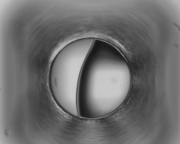 X0000097291512200802151046