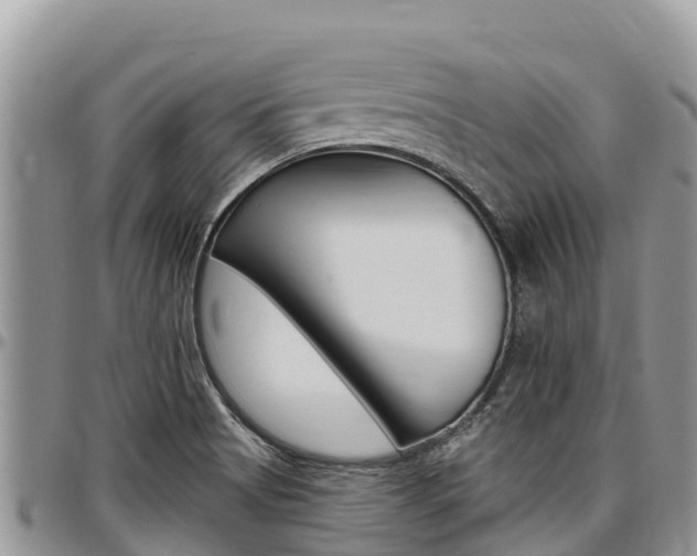 X0000097291513200802151046