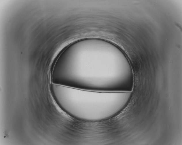 X0000097291515200802151046