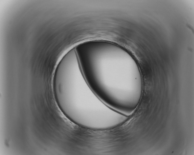 X0000097291516200802151046