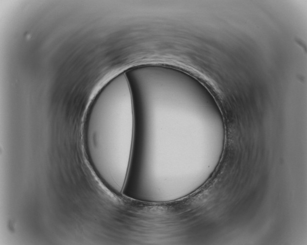 X0000097291517200802151046