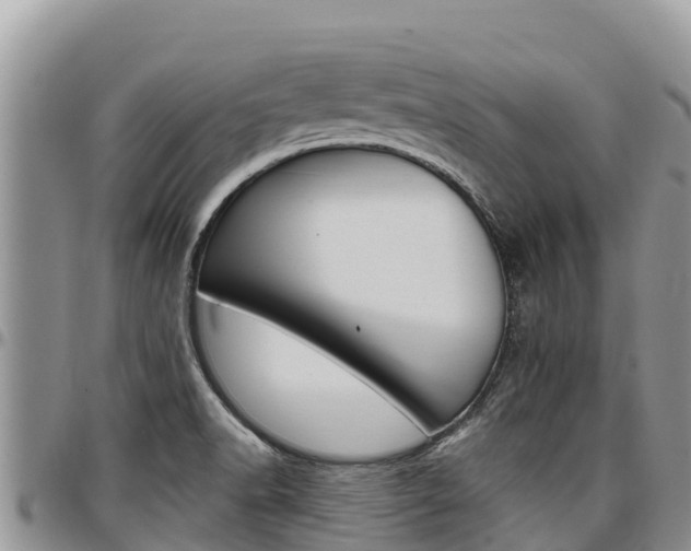 X0000097291518200802151046
