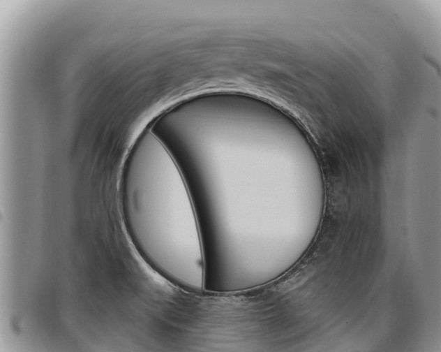 X0000097291519200802151046
