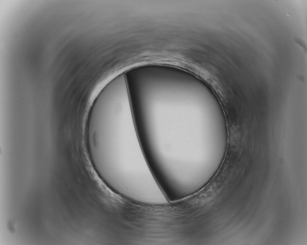 X0000097291520200802151046