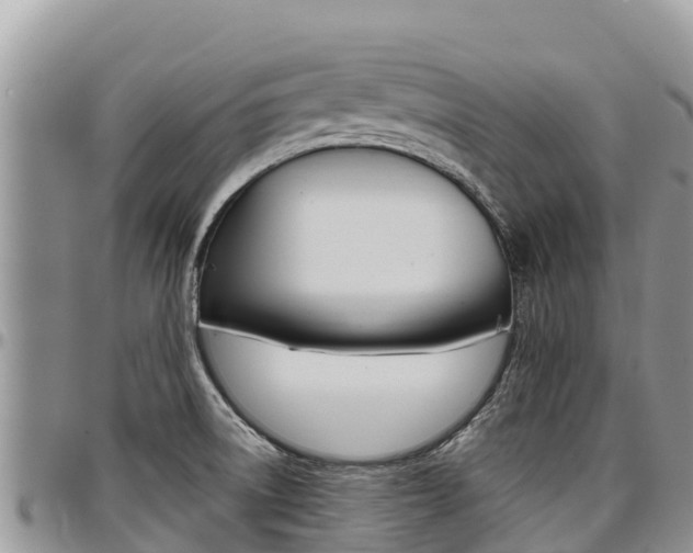X0000097291522200802151046