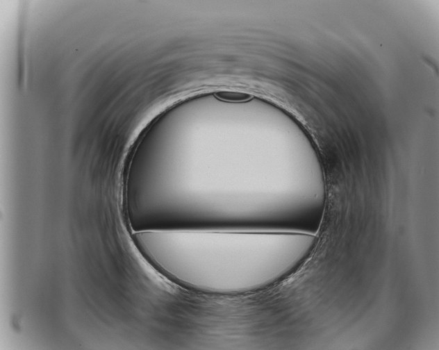 X0000097291523200802151046