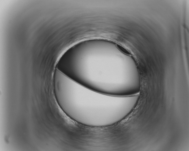 X0000097291524200802151046