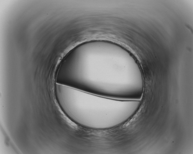 X0000097291525200802151046