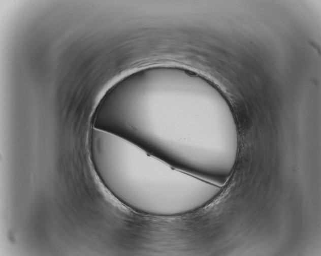X0000097291526200802151046