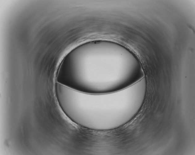 X0000097291528200802151046