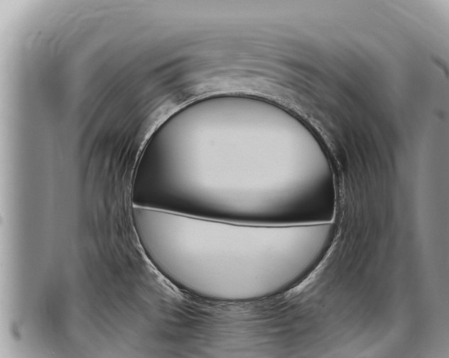 X0000097291529200802151046