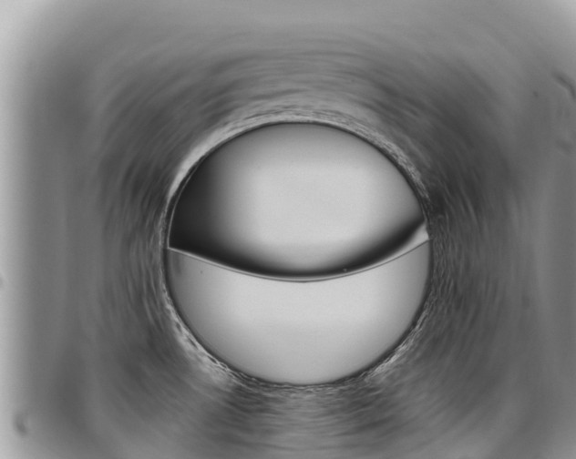 X0000097291530200802151047